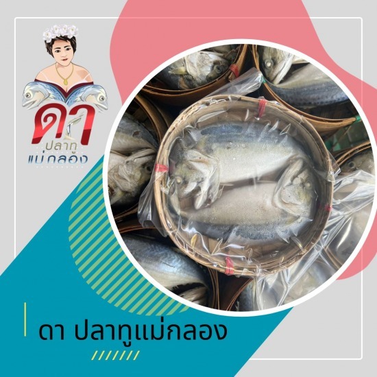 ขายส่งปลาทู - ขายส่งปลาทูแม่กลอง - ดาปลาทูแม่กลอง ขายส่งปลาทู - ขายส่งปลาทูแม่กลอง - ดาปลาทูแม่กลอง