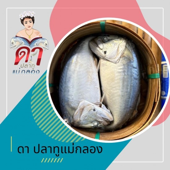 ปลาทูแม่กลอง ปลาทูแม่กลอง