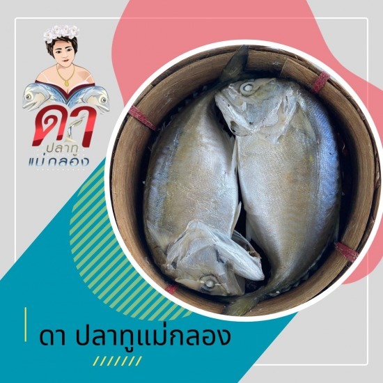 ปลาทูแม่กลองขายส่ง - ขายส่งปลาทูแม่กลอง - ดาปลาทูแม่กลอง ปลาทูแม่กลองขายส่ง - ขายส่งปลาทูแม่กลอง - ดาปลาทูแม่กลอง