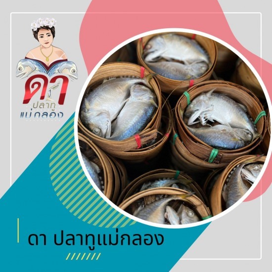 ปลาทูสดแม่กลองราคาส่ง ปลาทูสดแม่กลองราคาส่ง