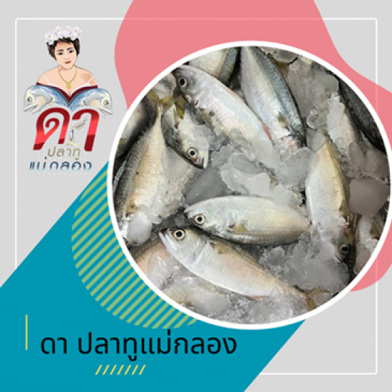 ปลาทูนึ่ง ขายราคาส่ง