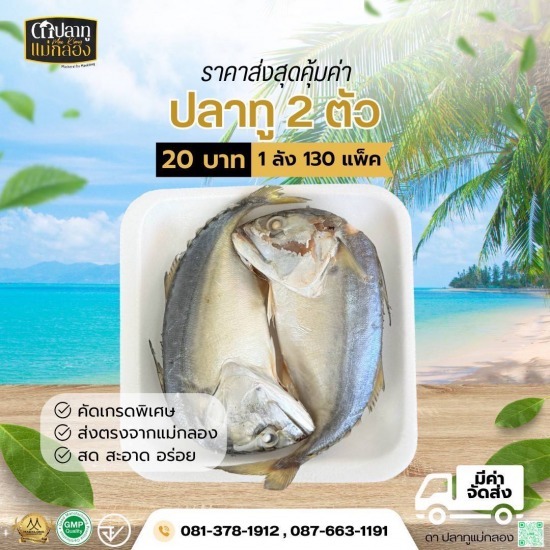 ปลาทูสดแม่กลองราคาส่ง