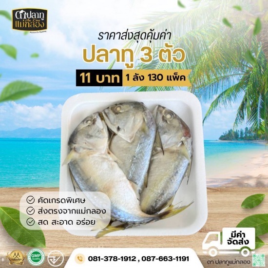 แหล่งขายส่งปลาทูสด