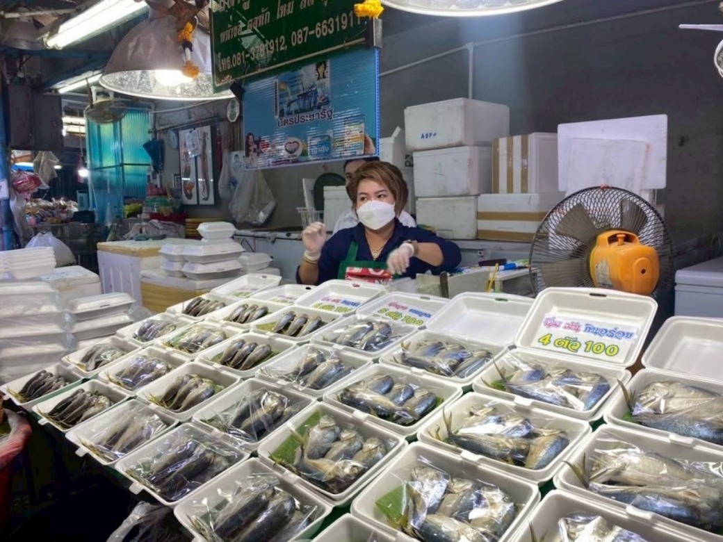 ดาลักกี้ปลาทูแม่กลอง